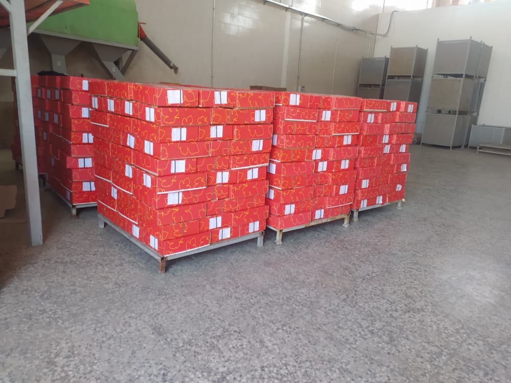 تصویر 1 از خرید انجیر صد یک سه آ با کیفیت و ارزان